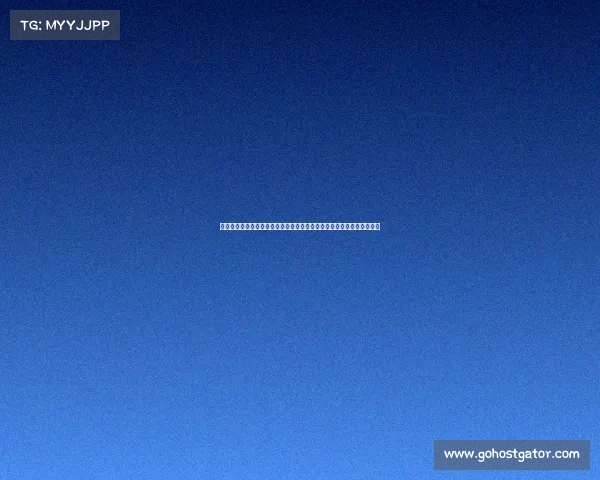 探寻中国传统武术的精髓与文化传承：从拳法招式到精神内涵的深度解读